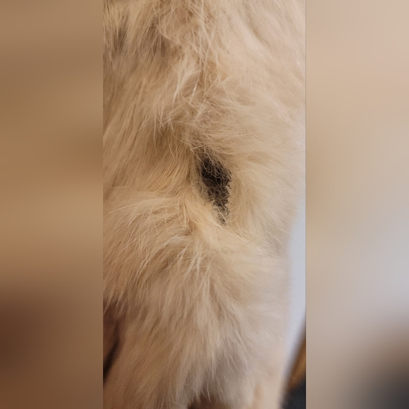 Bebe genuine leather & Genuine rabbit fur coat - Picture 10 of 13